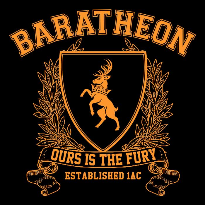 Baratheon University Wall Decor - High - Quality Polyester Wall Tapestry