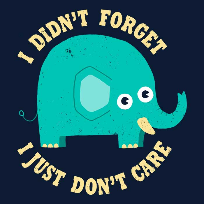 Stunning Wall Tapestry Featuring 'An Elephant Never Cares' Design